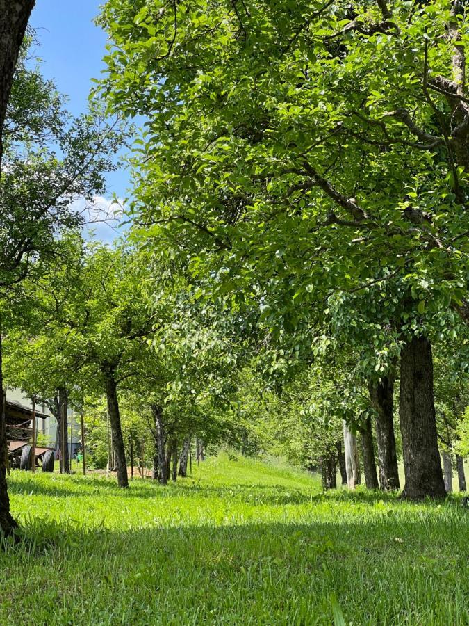 Ferienwohnung Mahar Feistritz im Rosental Eksteriør billede